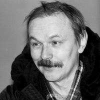 Владимир Шинкарев