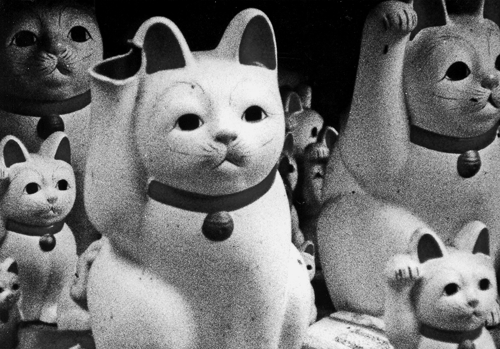 «Без солнца» (1983)