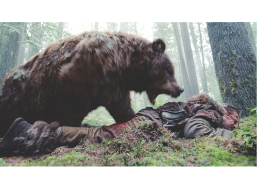 oscars medved
