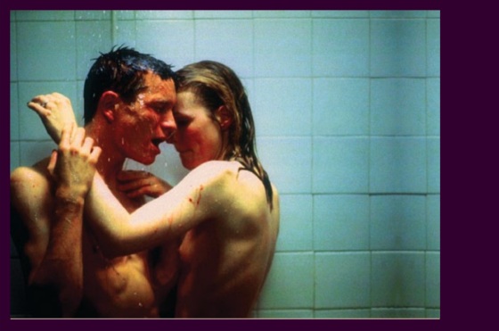 Сексуальная Анна Левайн – Капли Дождя На Раскаленных Скалах (1999)
